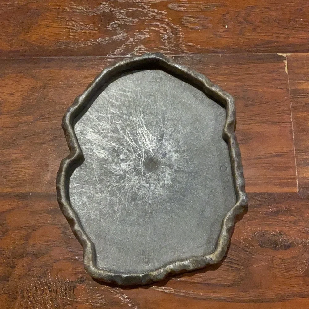 Reptile water dish